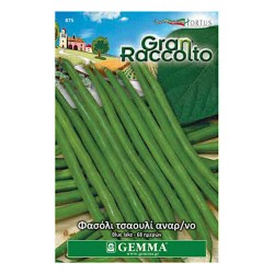 Phaseolus vulgaris 'Blue Lake' Climbing French Bean Seeds 65g  Climbing French Bean Blue Lake Seeds 65g