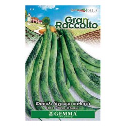 Bobi's d' Alenga Green Bean Seeds 40g Packet Bobi's d' Alenga Green Bean Seeds 40g Packet (Phaseolus vulgaris 'Bobi's d' Alenga') - Bush Beans Seed