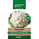 Κουνουπίδι Πρώιμο Λευκό 2g Σπόροι Φακελάκι (Brassica oleracea botrytis 'Palla di Neve') - Σπόρος Κουνουπιδιών σε Φάκελα Κουνουπίδι Πρώιμο Λευκό 2g Σπόροι 'Palla di Neve'