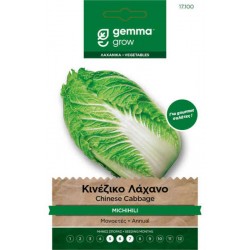 Michihli Chinese Cabbage Seeds 5g Packet (Brassica rapa 'Michihili')