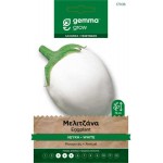 White Eggplant Seeds 0.4g Packet (Solanum melongena 'Santorinis')