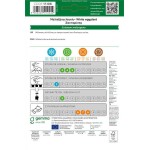 White Eggplant Seeds 0.4g Packet (Solanum melongena 'Santorinis')