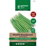 Φασόλι Βιομηχανικό Καθιστό Contender 10g Σπόροι Φάκελος