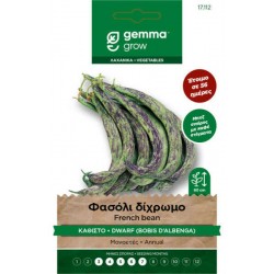 Bobis d'Albenga Bicolor French Bean Seeds 10g Packet Bobis d'Albenga Bicolor Green Bean Seeds 30g Packet (Phaseolus vulgaris 'Bobis d'Albenga') - French Beans Seed in Packets