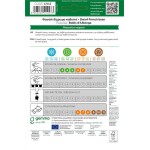 Bobis d'Albenga Bicolor Green Bean Seeds 30g Packet (Phaseolus vulgaris 'Bobis d'Albenga') - French Beans Seed in Packets