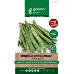 Φασόλι Μπαρμπούνι Καθιστό 10g Σπόροι Starozagorski