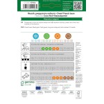 Φασόλι Μπαρμπούνι Καθιστό 10g Σπόροι Starozagorski