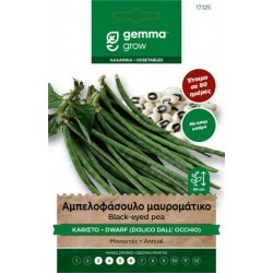 Black Eyed Pea Dolico Dall' Occhio Seeds 10g Packet (Vigna unguiculata 'Dolico Dall' Occhio') Vigna unguiculata Dolico Dall' Occhio Seeds 10g Packet