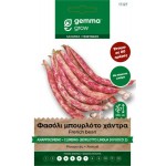 Borlotto Lingua Fuoco 2 Climbing French Bean Seeds 30g Packet (Phaseolus vulgaris 'Borlotto Lingua Di Fuoco 2') Borlotto Lingua Fuoco 2 Climbing French Bean Seeds 30g