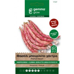 Borlotto Lingua Fuoco 2 Climbing French Bean Seeds 30g Packet (Phaseolus vulgaris 'Borlotto Lingua Di Fuoco 2') Borlotto Lingua Fuoco 2 Climbing French Bean Seeds 30g