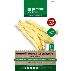 Climbing Yellow Bean Seeds 30g Meraviglia Venezia Grano Nero