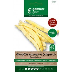 Climbing Yellow French Bean Seeds 30g Packet (Phaseolus vulgaris 'Meraviglia di Venezia Grano Nero') - French Beans Seed in Packets Climbing Yellow Bean Seeds 30g Meraviglia Venezia Grano Nero