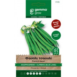 Blue Lake French Bean Seeds 30g Packet (Phaseolus vulgaris 'Blue Lake') - French Beans Seed in Packets Blue Lake French Bean Seeds 30g (Phaseolus vulgaris)