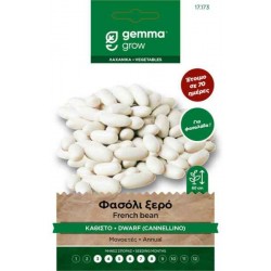 Cannellino White Bean Seeds 10g Phaseolus vulgaris Cannellino White Bean Seeds 10g Packet (Phaseolus vulgaris 'Cannellino') - Navy Beans Seed in Packets