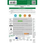 Αραχίδα-Αράπικο Φιστίκι 10g Σπόροι-Arachis hypogaea Runner