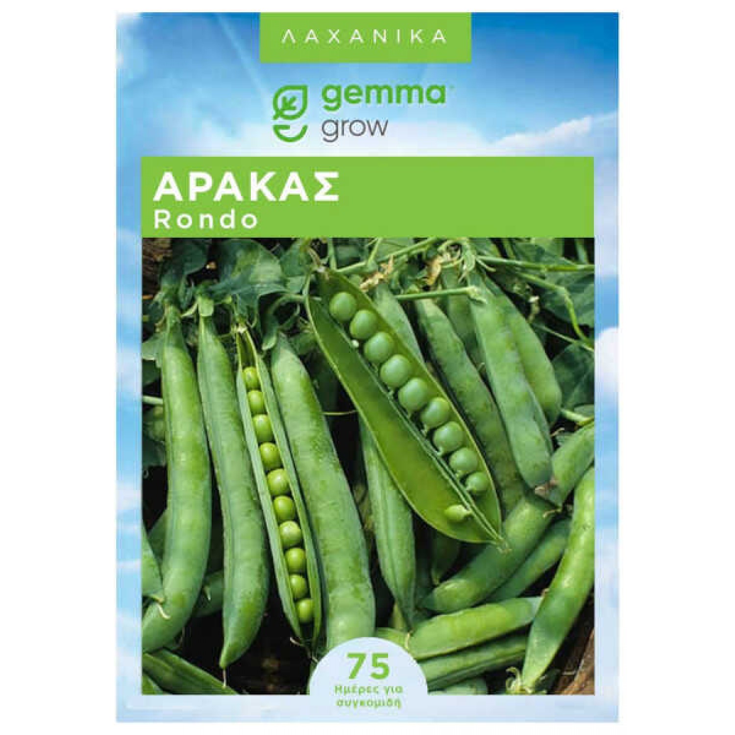 Pea Rondo Seeds 25kg (Pisum sativum 'Rondo') Half-Climbing 