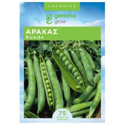 Pea Rondo Seeds 1kg (Pisum sativum 'Rondo') Half-Climbing 