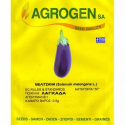 Eggplant 'Langada' Traditional Seed (Solanum melongena)