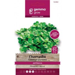Common Purslane Seeds Packet 12662 (Portulaca oleracea) - Seed for Common Purslanes Common Purslane Seeds Packet 12662 (Portulaca oleracea)