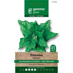 New Zealand Summer Spinach Seeds 7g Packet