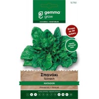 Spinach Matador Seeds 15g Packet 12792 (Spinacia oleracea 'Matador')