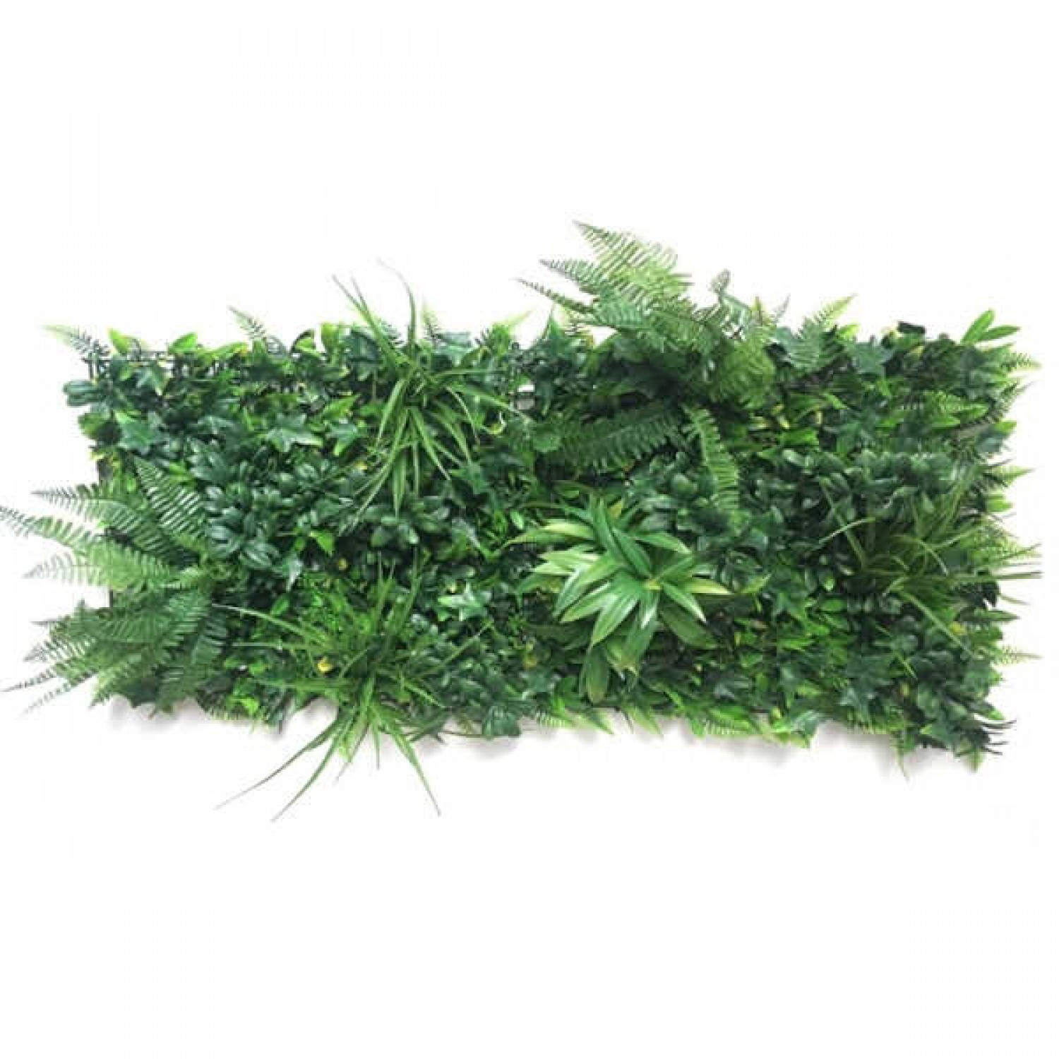 Φυλλωσιά JUNGLE Πλακίδιο Μονόχρωμο 50x100cm