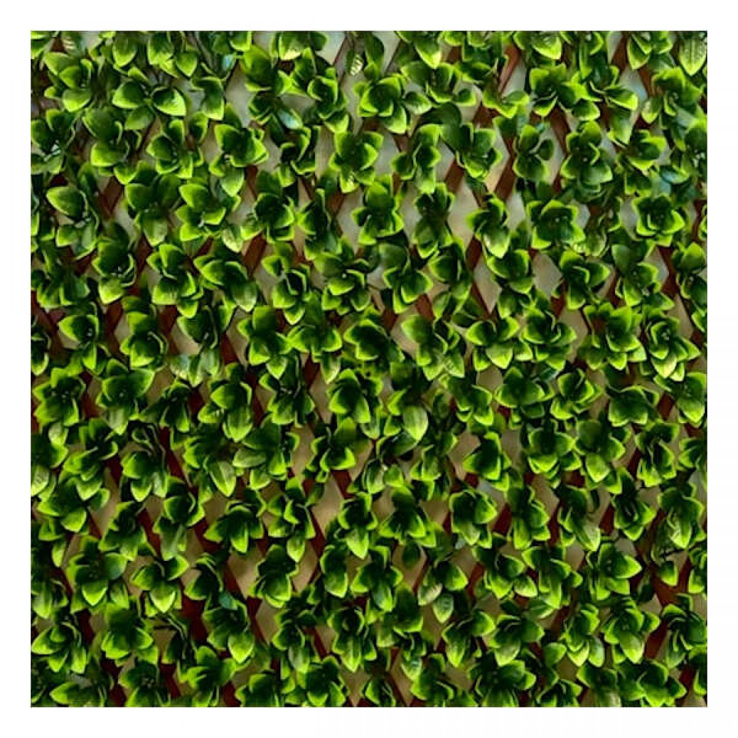 Δίχρωμες Φυλλωσιές 100(Υ)x200cm σε Πτυσσόμενο PVC Πλέγμα