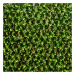 Δίχρωμες Φυλλωσιές 100(Υ)x200cm σε Πτυσσόμενο PVC Πλέγμα