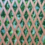 Δίχρωμες Φυλλωσιές 100(Υ)x200cm σε Πτυσσόμενο PVC Πλέγμα