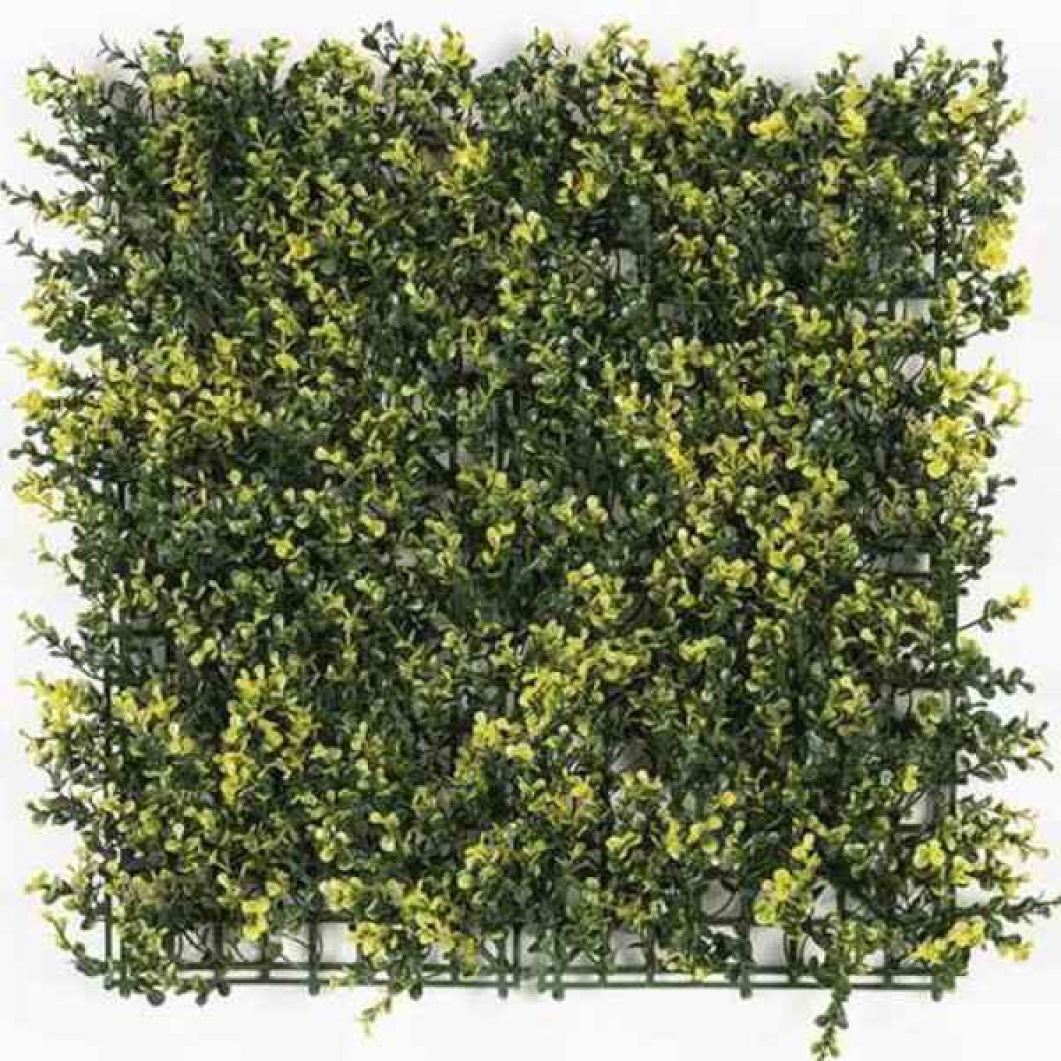 Πάνελ Φυλλωσιάς OSLO 50x50cm MZ188003A Πλακίδιο Τοίχου Πάνελ Φυλλωσιάς OSLO 50x50cm MZ188003A Πλακίδιο Τοίχου - Συνθετικοί Κάθετοι Κήποι & Πλακίδια Τοίχων