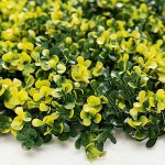 Πάνελ Φυλλωσιάς OSLO 50x50cm MZ188003A Πλακίδιο Τοίχου Πάνελ Φυλλωσιάς OSLO 50x50cm MZ188003A Πλακίδιο Τοίχου - Συνθετικοί Κάθετοι Κήποι & Πλακίδια Τοίχων