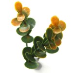 Πάνελ Φυλλωσιάς BERLIN 50x50cm A012 BUXUS Πλακίδιο - Συνθετικοί Κάθετοι Κήποι & Πλακίδια Τοίχων