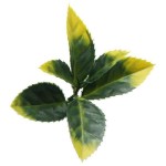 Πάνελ Φυλλωσιάς BERLIN 50x50cm A017 PHOTINIA Πλακίδιο - Συνθετικοί Κάθετοι Κήποι & Πλακίδια Τοίχων