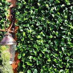 Πάνελ Φυλλωσιάς BERLIN 50x50cm A017 PHOTINIA Πλακίδιο - Συνθετικοί Κάθετοι Κήποι & Πλακίδια Τοίχων