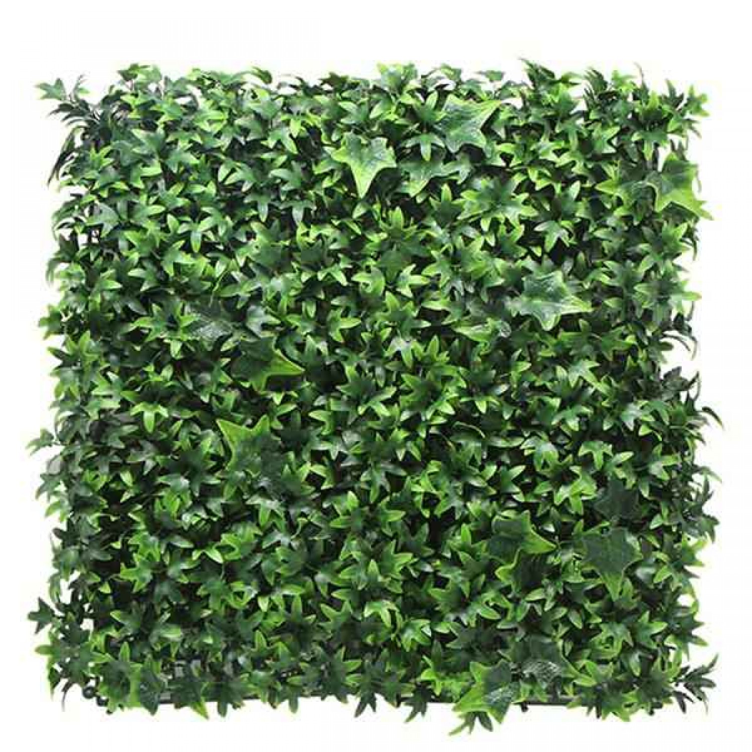 Πάνελ Φυλλωσιάς BERLIN 50x50cm A029 IVY Πλακίδιο Τοίχου - Συνθετικοί Κάθετοι Κήποι & Πλακίδια Τοίχων