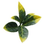 Πάνελ Φυλλωσιάς BILBAO 50x50cm F028 SUMMER CHERRY RAIN - Συνθετικοί Κάθετοι Κήποι & Πλακίδια Τοίχων