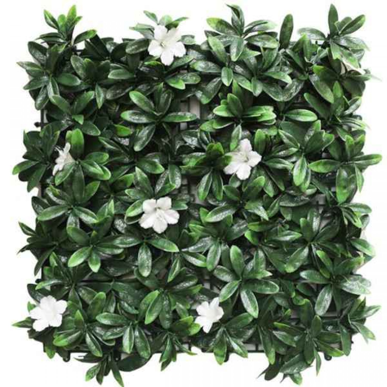 Πάνελ Φυλλωσιάς OSLO 50x50cm 17712WF Πλακίδιο Τοίχου Πάνελ Φυλλωσιάς OSLO 50x50cm 17712WF Πλακίδιο Τοίχου - Συνθετικοί Κάθετοι Κήποι & Πλακίδια Τοίχων