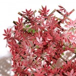 Φυλλωσιά Ανοιγόμενη Κόκκινη 1x2(Y)m MZ186003B