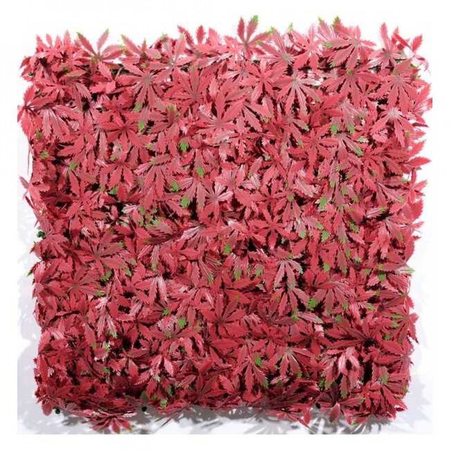 Vertical Garden 50x50cm Decorative Foliage Panel 