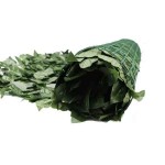 Συνθετική Φυλλωσιά Πλέγμα Σκούρο Πράσινο PREMIUM 100x300cm - Διακοσμητικός Φράχτης Εξωτερικού Χώρου-Συνθετικές Φυλλωσιές