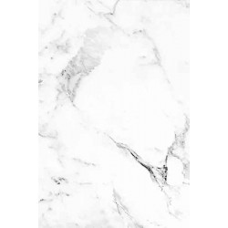 PVC Wall Panel 1.22x2.80m CARRARA BIANCO 101 - Synthetic Panels