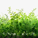 Πλακίδιο Φυλλωσιάς Τοίχου ΦΤΕΡΗ Premium 50x50cm Συνθετικό - Τεχνητός Κάθετος Κήπος-Συνθετικές Φυλλωσιές