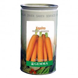 Carrot R0551C 500 g Commercial | Canned Carrot Commercial Seeds  Carrot R0551C 500 g Commercial | kipogeorgiki.gr