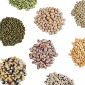 Vegetable Seeds for Commercial Growers