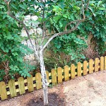 Ξύλινοι Φράχτες Καρφωτοί Τάβλα | kipogeorgiki.gr
