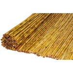 Wattle Reed Roll 250(H)x300cm Ø12-18mm Natural