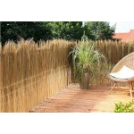 Fern Fence Stems with Wire 120(H)x500cm | Kipogeorgiki