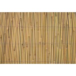 Καλαμωτή Μπαμπού Μασίφ 7-12mm 250(Υ)x300cm
