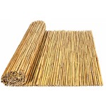 Καλαμωτή Μπαμπού TONKIN Φ14-22mm/200(Y)x300cm με Σύρμα