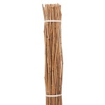 Nursery Bamboo Canes Bundle 30pcs D30-34mmx(H)250cm